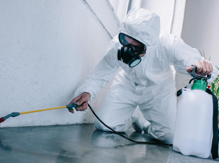 Pest Control Services In Sharjah